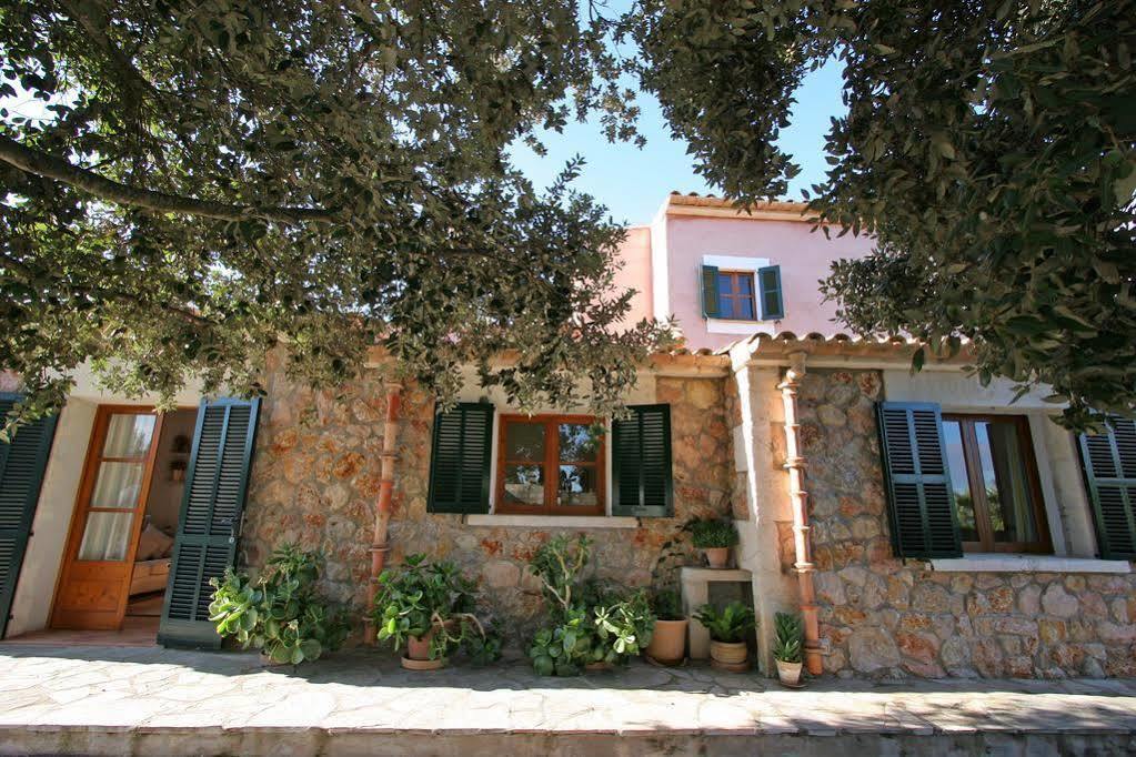 Alzina * Alcudia (Mallorca)