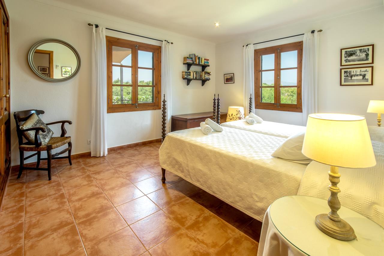 Alzina Alcudia (Mallorca)